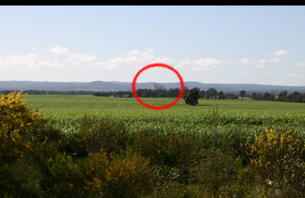 A field with one of the Parkes Observatory dishes in the background